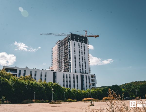 niebieski_bursztyn-1